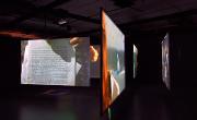 Northern Gallery for Contemporary Art