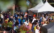 Image representing Scrantastic Food Festival 