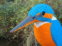 Image for The UK's only LEGO® Brick Wetland Safari at Washington Wetland Centre