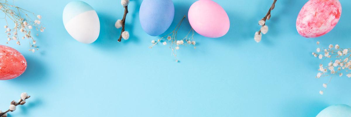 14 Egg-citing things to do in Sunderland this Easter 