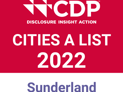 Sunderland CDP 2022 Sunderland CDP 2022