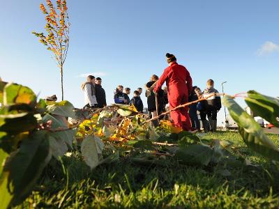 Community orchard replant Community orchard replant