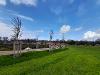 Thompson Park