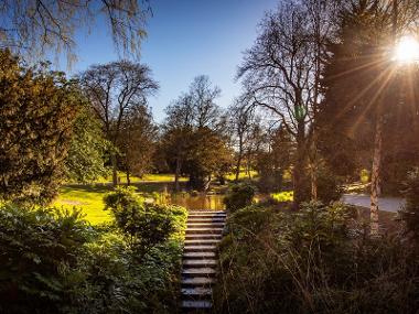 Barnes Park