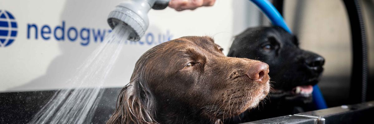 Dog Wash Seaburn Dog Wash Seaburn