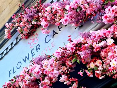 Flower Cafe Flower Cafe