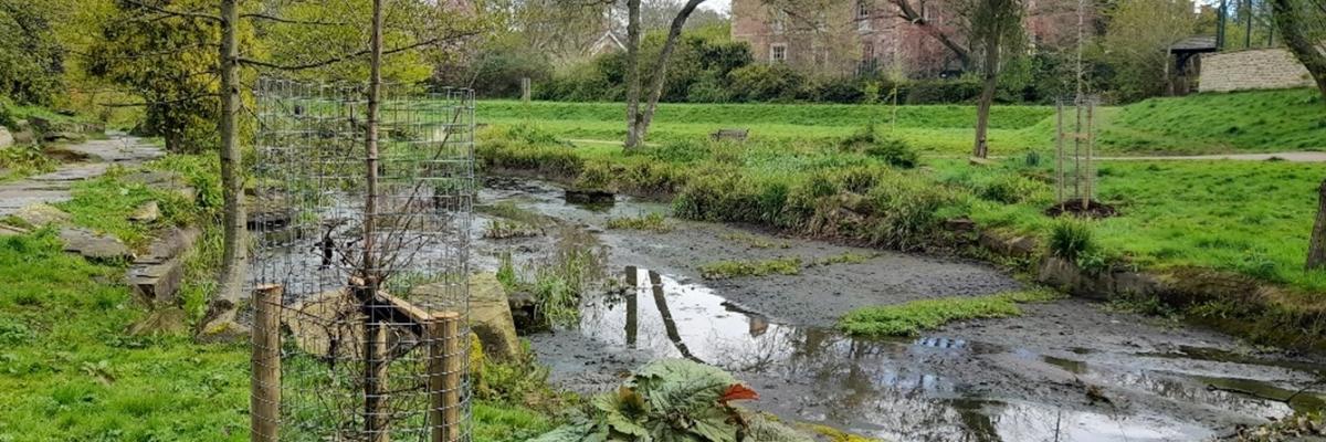 Doxford Park Tree Planting