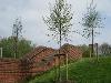 Rickleton Primary School
