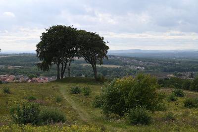 Logo for Copt Hill