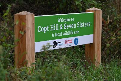 Copt Hill greenspace