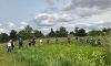 Trees for climate/North East Community Forest 