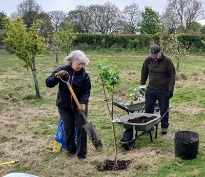 Hetton Orchid Links with Nature Case Study